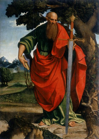 Der heilige Paulus, ca. 1500-24 von Girolamo Alibrando